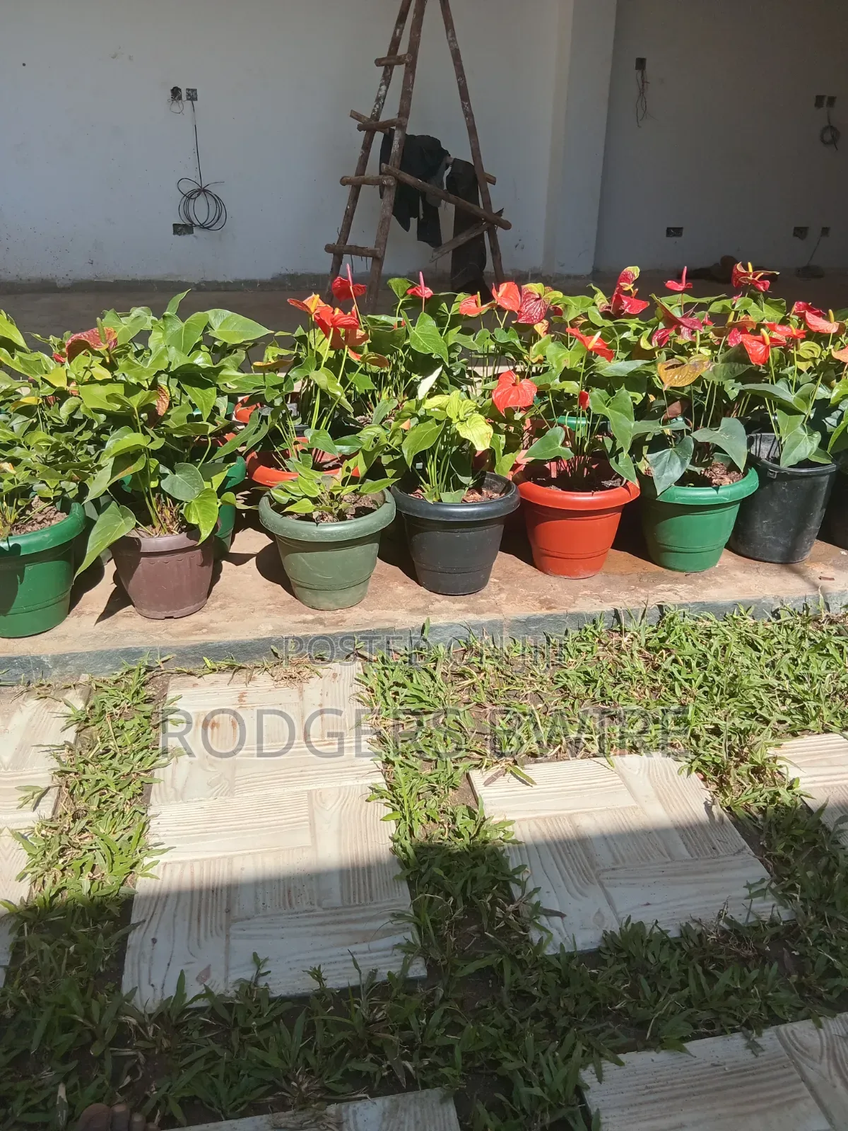 Compound Designing,landscaping and Artwork This Beautifies Thecompound
