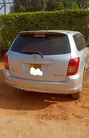 Toyota Corolla Fielder 2007 Silver