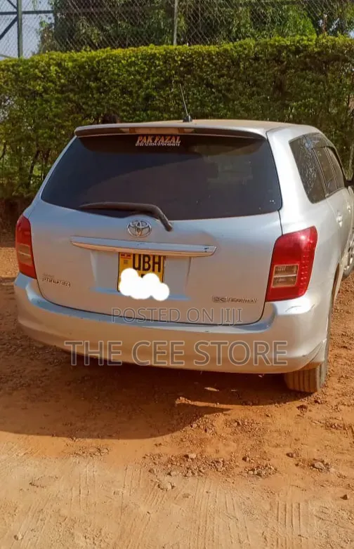 Toyota Corolla Fielder 2007 Silver