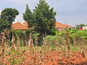 QuickSale Plot Located in Kira-Kiwologoma