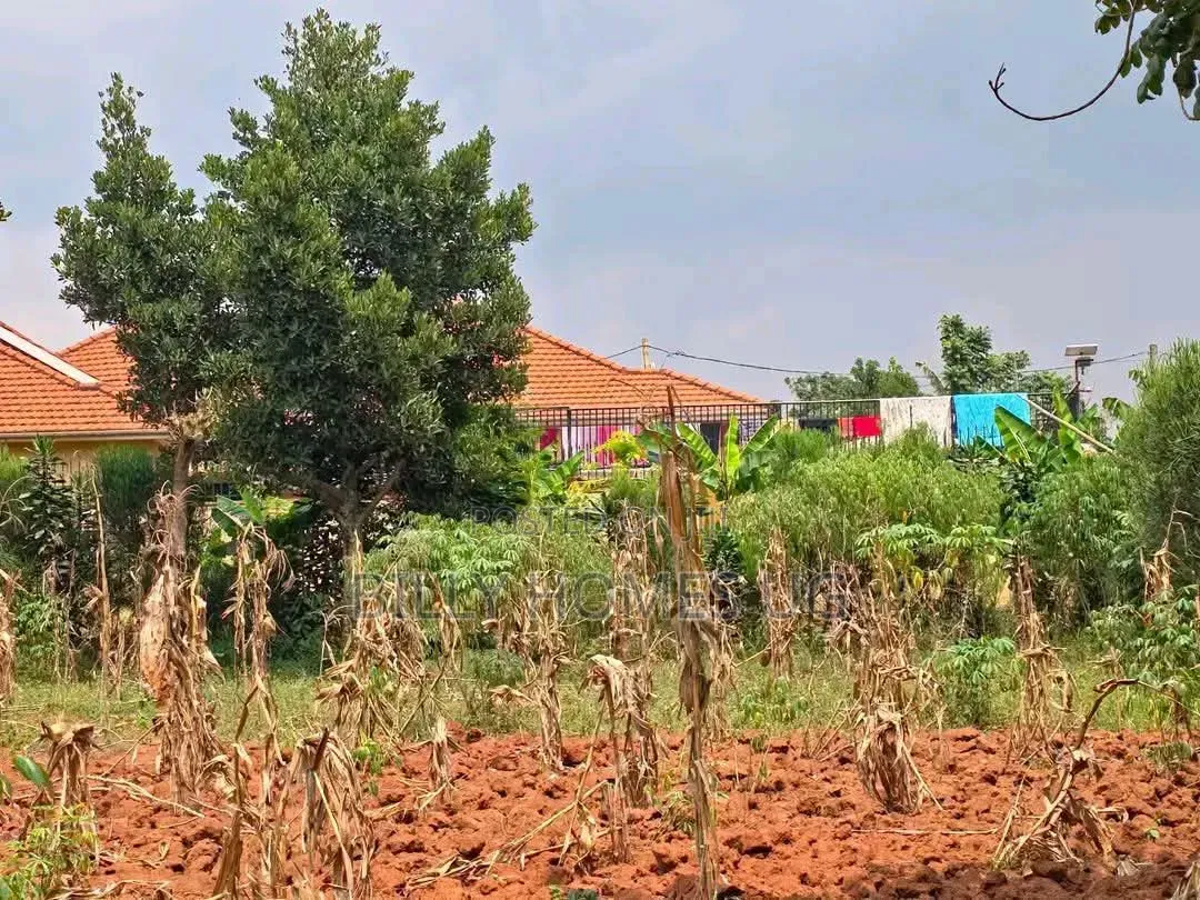 QuickSale Plot Located in Kira-Kiwologoma
