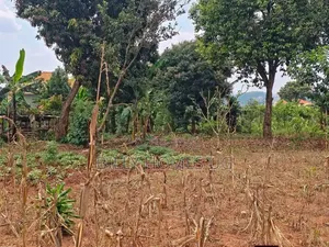 QuickSale Plot Located in Kira-Kiwologoma