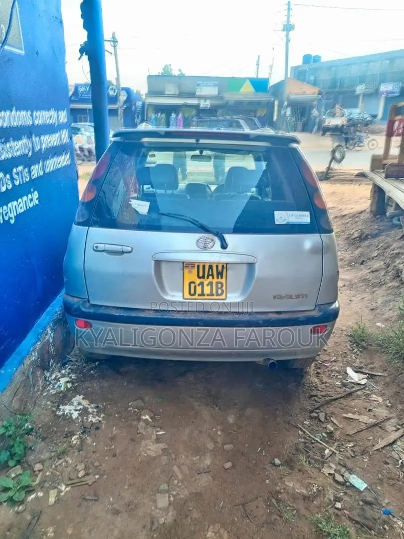 Toyota Raum 2002 Gray