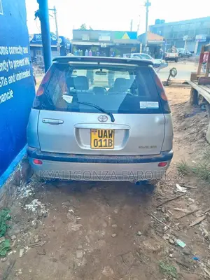 Toyota Raum 2002 Gray