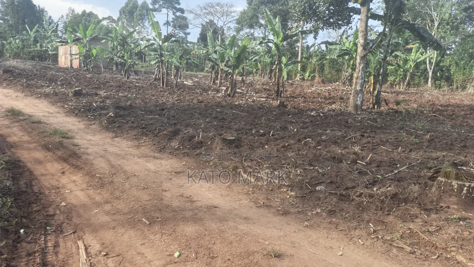 300 Acres for Sale Located at Kayunga Balla
