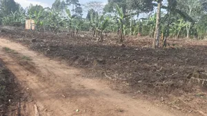 300 Acres for Sale Located at Kayunga Balla