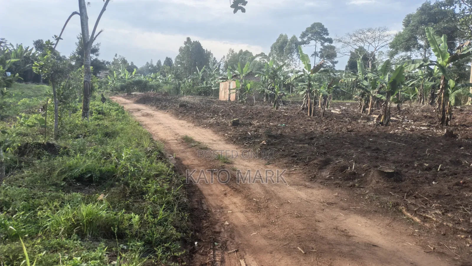 300 Acres for Sale Located at Kayunga Balla