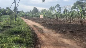 300 Acres for Sale Located at Kayunga Balla