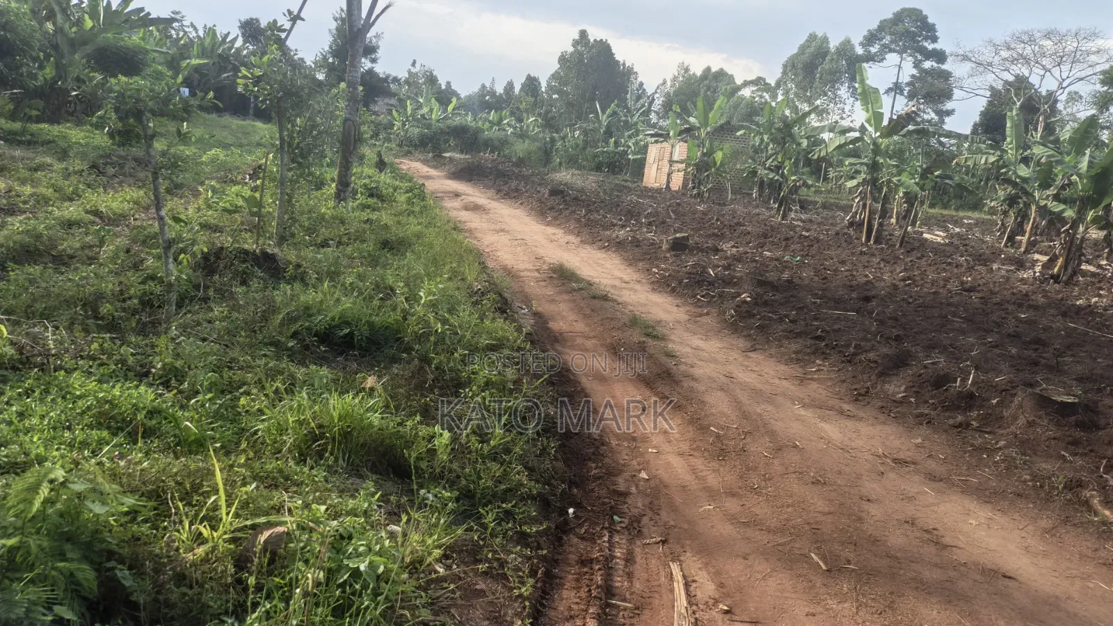 300 Acres for Sale Located at Kayunga Balla