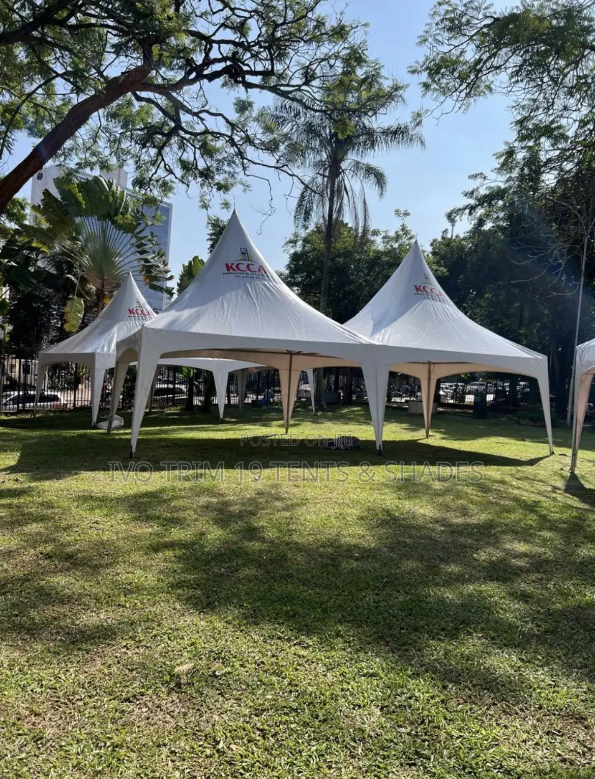 Two Peak 100seater Tent