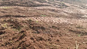 2 Acres for Sale Located at Kyabakade via Gayaza Road