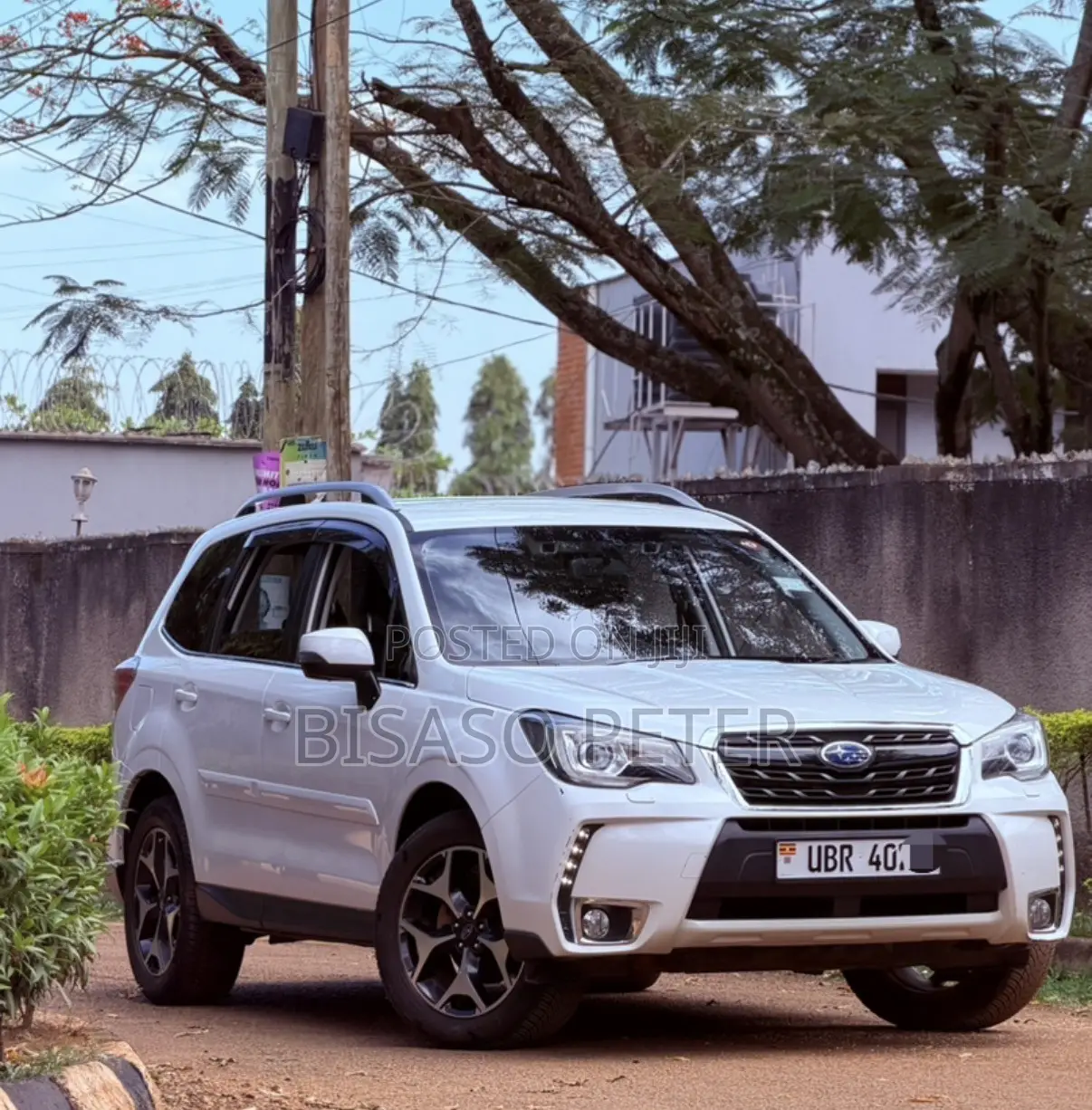 Subaru Forester 2016 White