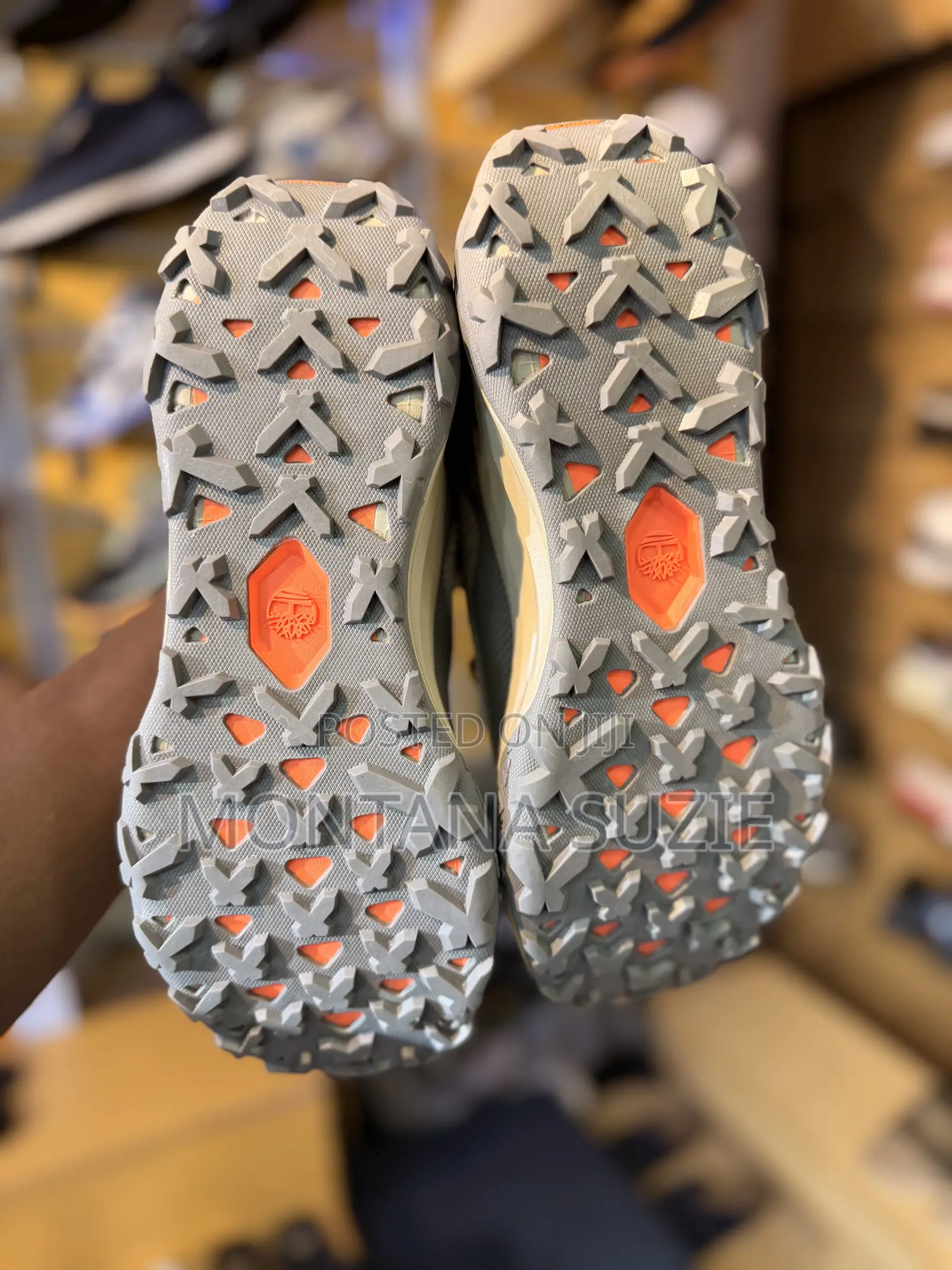 Timberland Motion Access Low