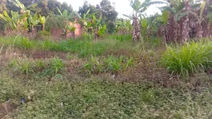 50×120Ft Highway Front, Buloba, Wakisi Division
