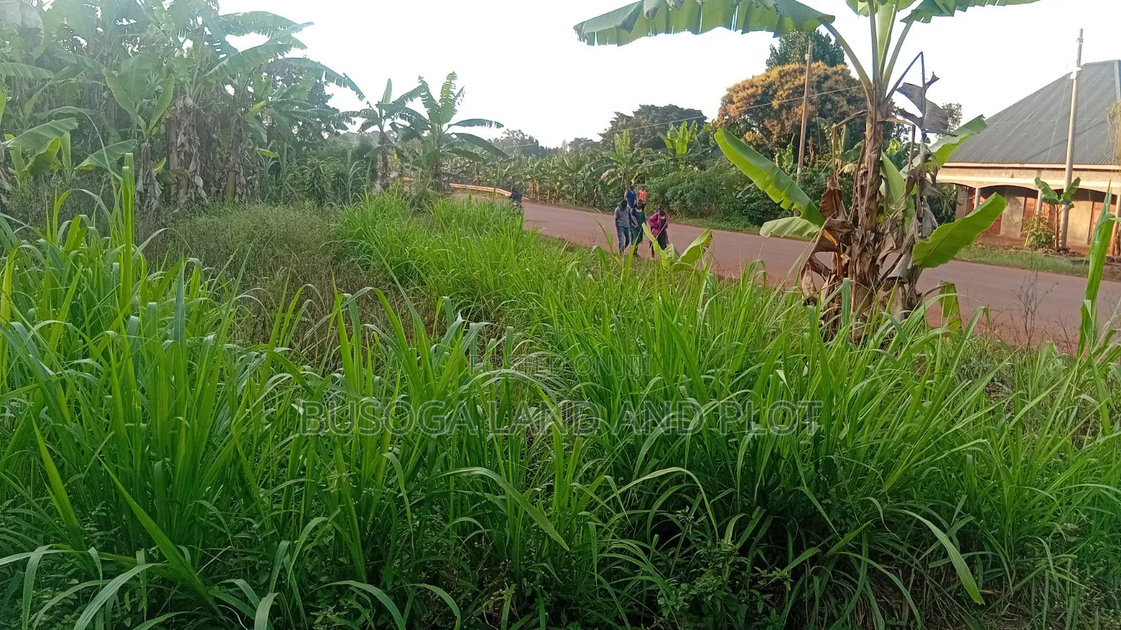 50×120Ft Highway Front, Buloba, Wakisi Division