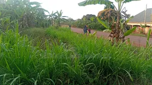 50×120Ft Highway Front, Buloba, Wakisi Division
