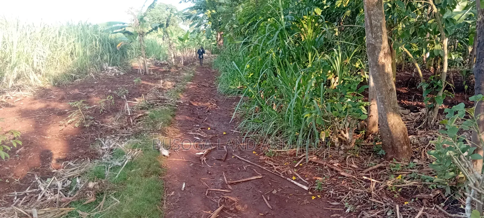 Prime 150×180 Ft, Petrol Station Land in Malindi, Wakisi Division