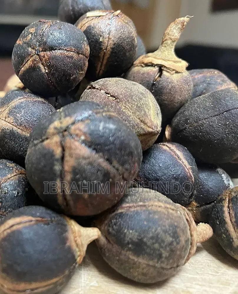 Gorontula Azazaa
