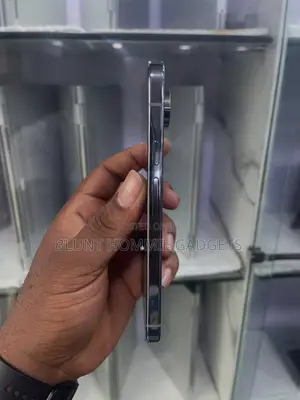 Google Pixel 9 Pro XL 256 GB Gray