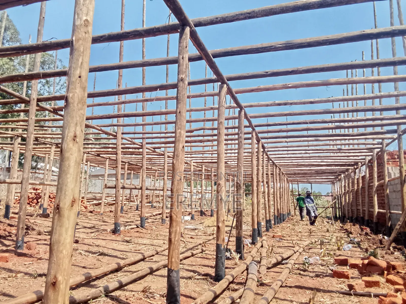 Poultry Structure for 10000 Birds