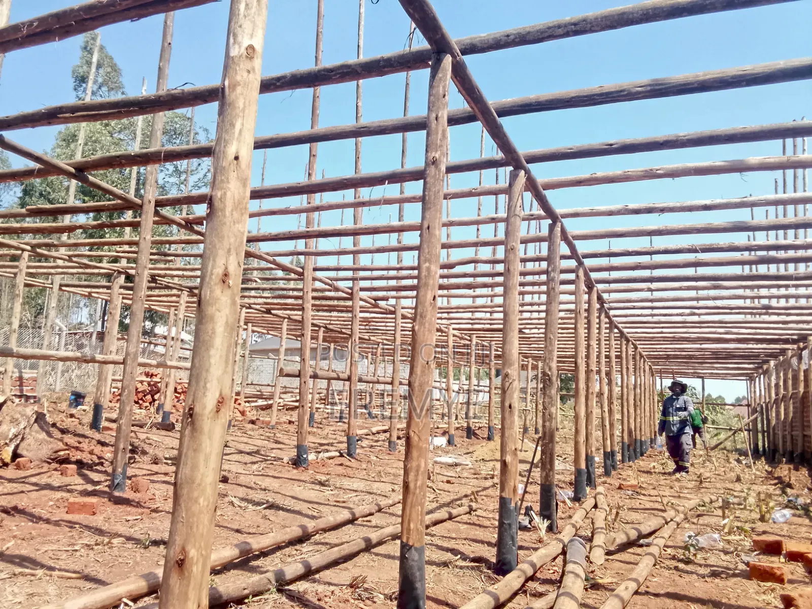 Poultry Structure for 10000 Birds