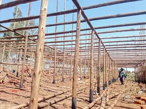 Poultry Structure for 10000 Birds
