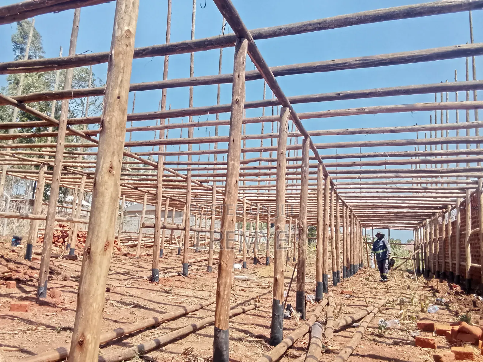 Poultry Structure for 10000 Birds
