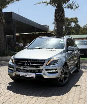 Mercedes-Benz M Class 2015 Gray