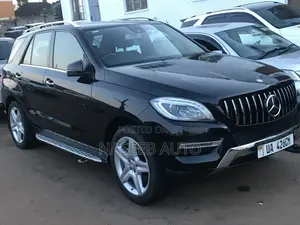 Mercedes-Benz M Class 2015 Black