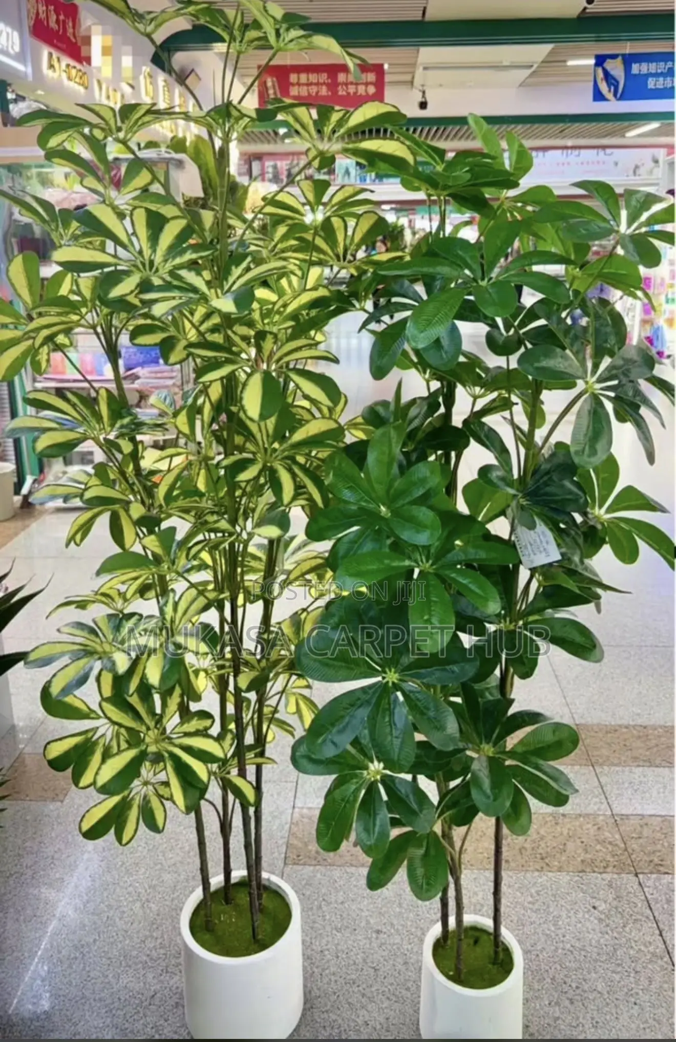 Artificial Plants for Sale in Kampala Uganda