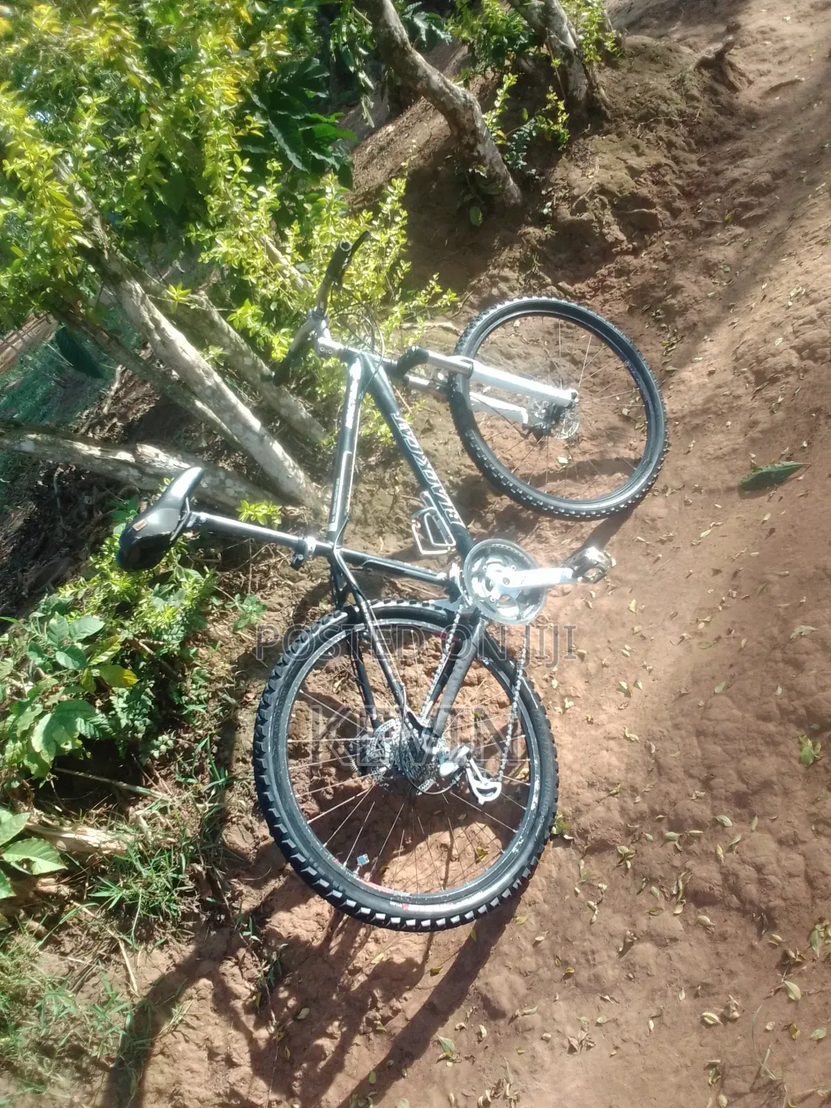 Aluminum Bicycle