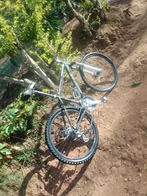 Aluminum Bicycle