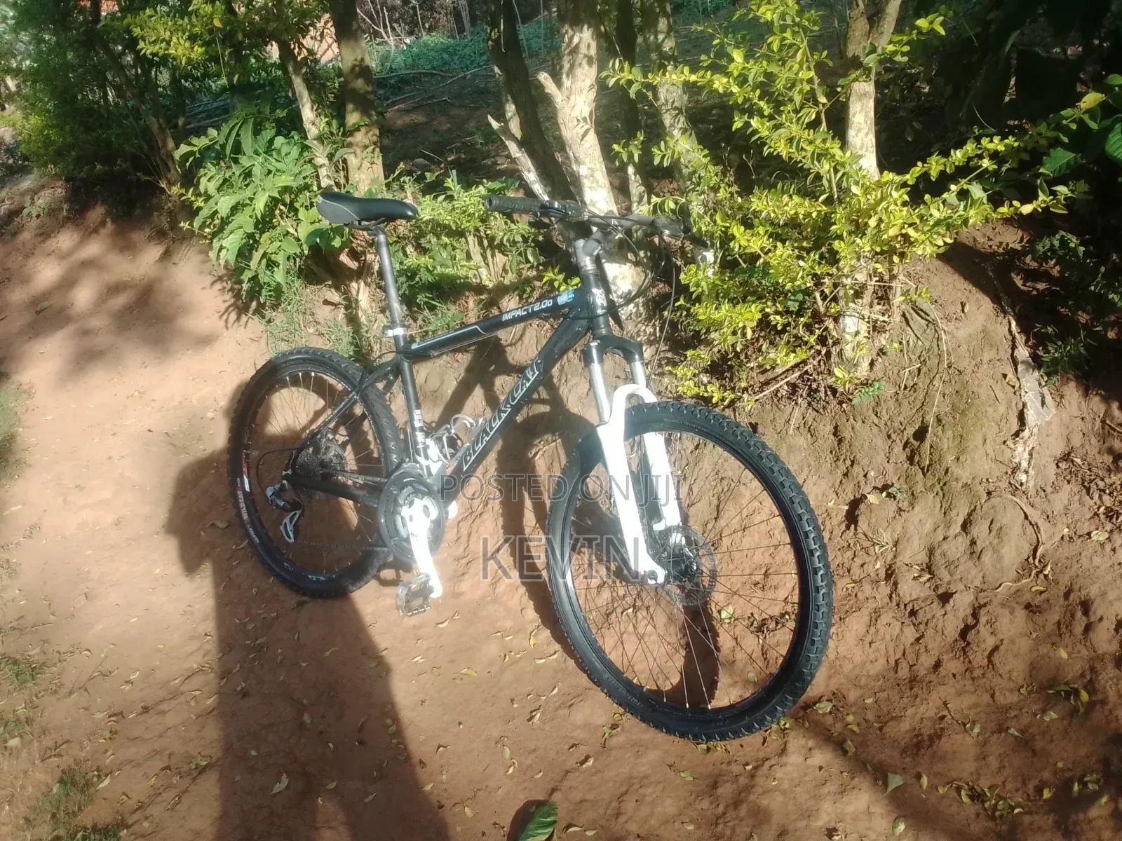 Aluminum Bicycle
