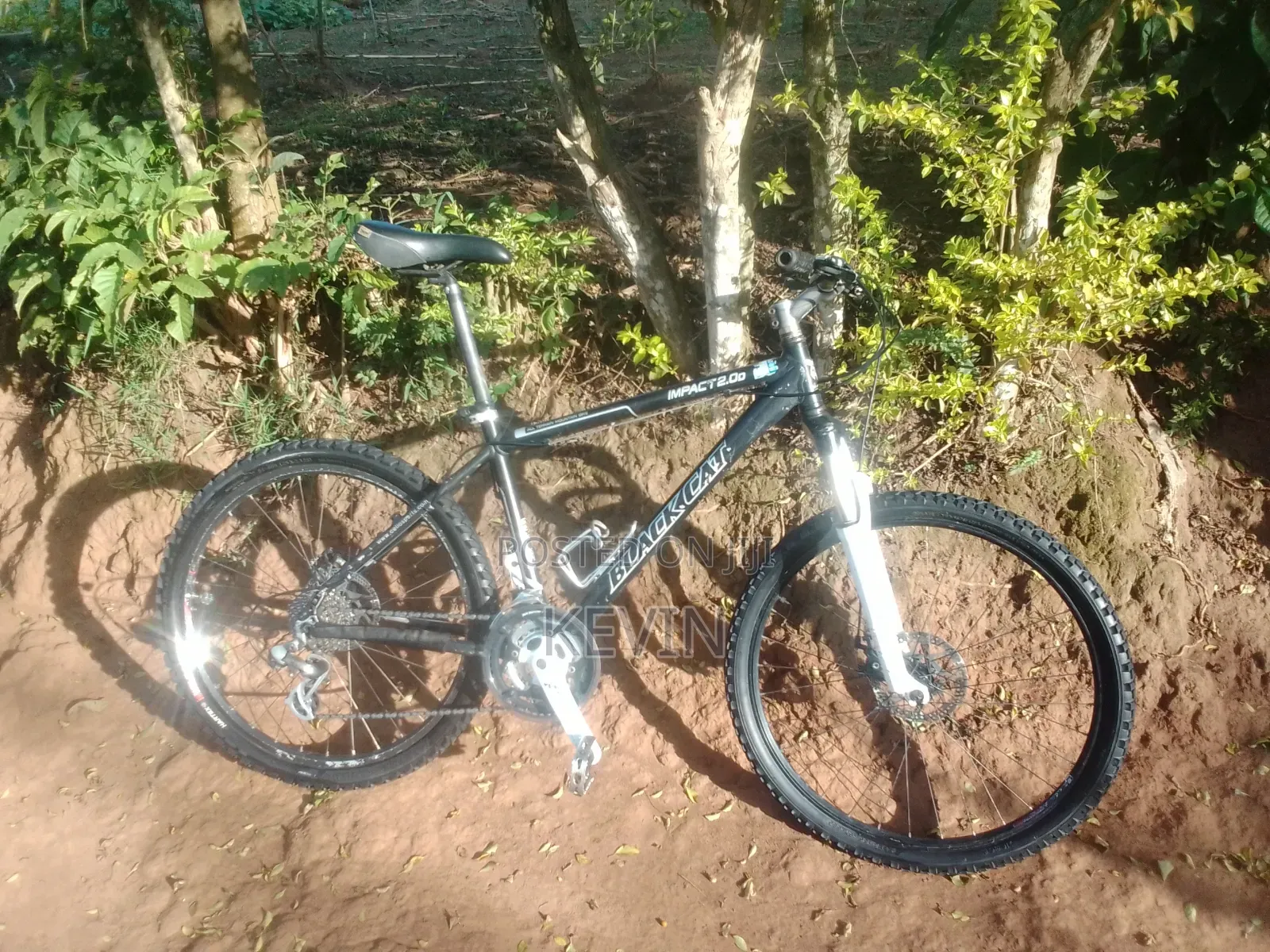 Aluminum Bicycle