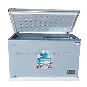 Roch 300L Deep Freezer