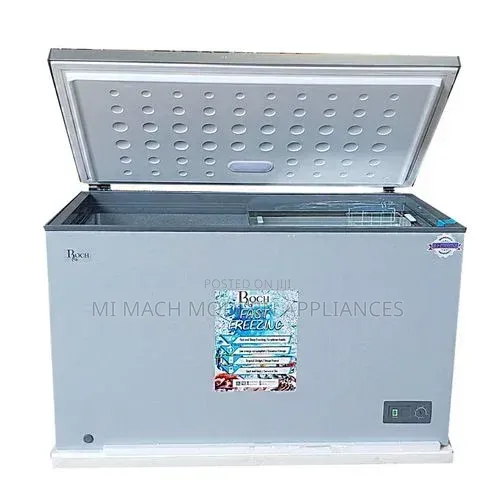 Roch 300L Deep Freezer