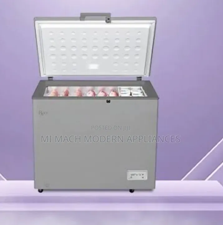 Roch 300L Deep Freezer