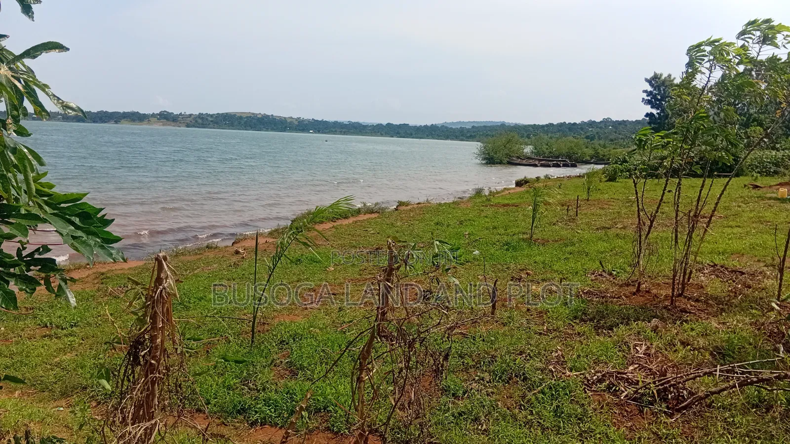 1.5 Acres of Prime L. Victoria Frontage, Nyenga Division,Njeru Municip