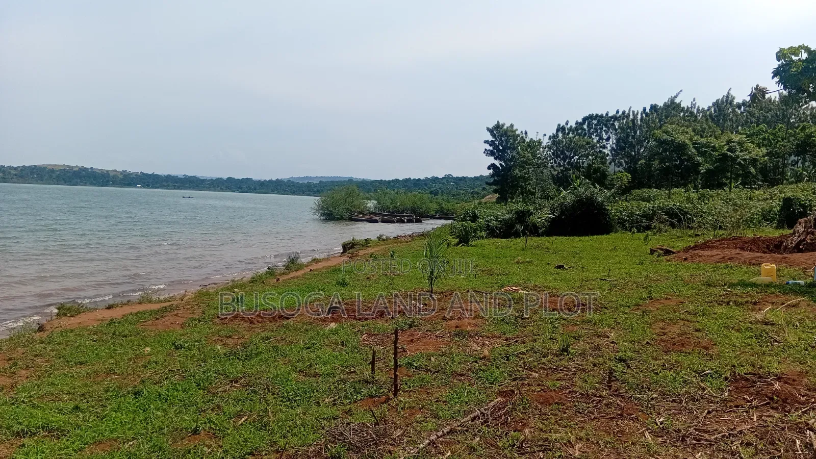 1.5 Acres of Prime L. Victoria Frontage, Nyenga Division,Njeru Municip