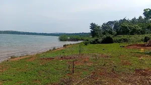 1.5 Acres of Prime L. Victoria Frontage, Nyenga Division,Njeru Municip
