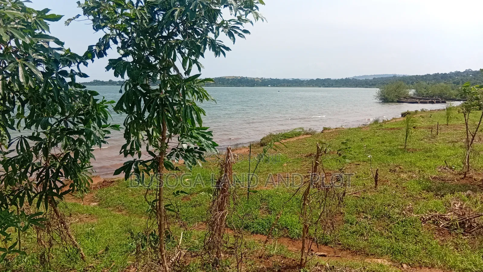 1.5 Acres of Prime L. Victoria Frontage, Nyenga Division,Njeru Municip