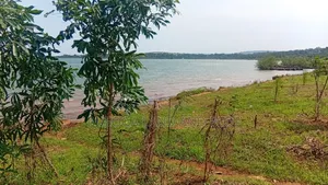 1.5 Acres of Prime L. Victoria Frontage, Nyenga Division,Njeru Municip