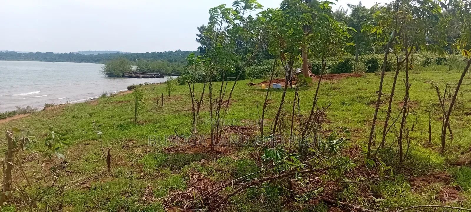 1.5 Acres of Prime L. Victoria Frontage, Nyenga Division,Njeru Municip