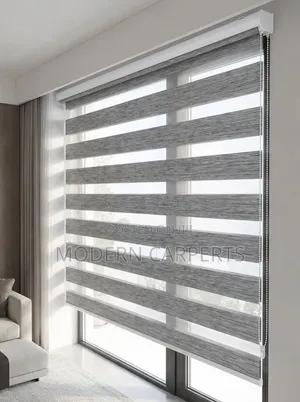 Hhtic Zebra Executive Blinds