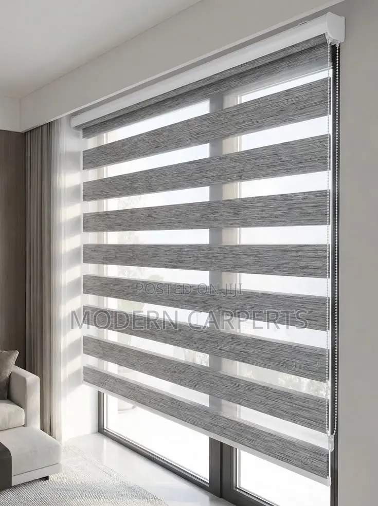 Hhtic Zebra Executive Blinds