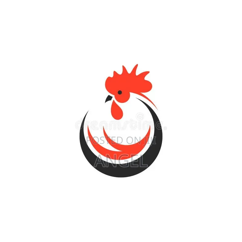 Best Chicken Farm