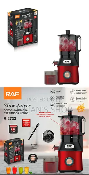 RAF Slow Juicer R.2733