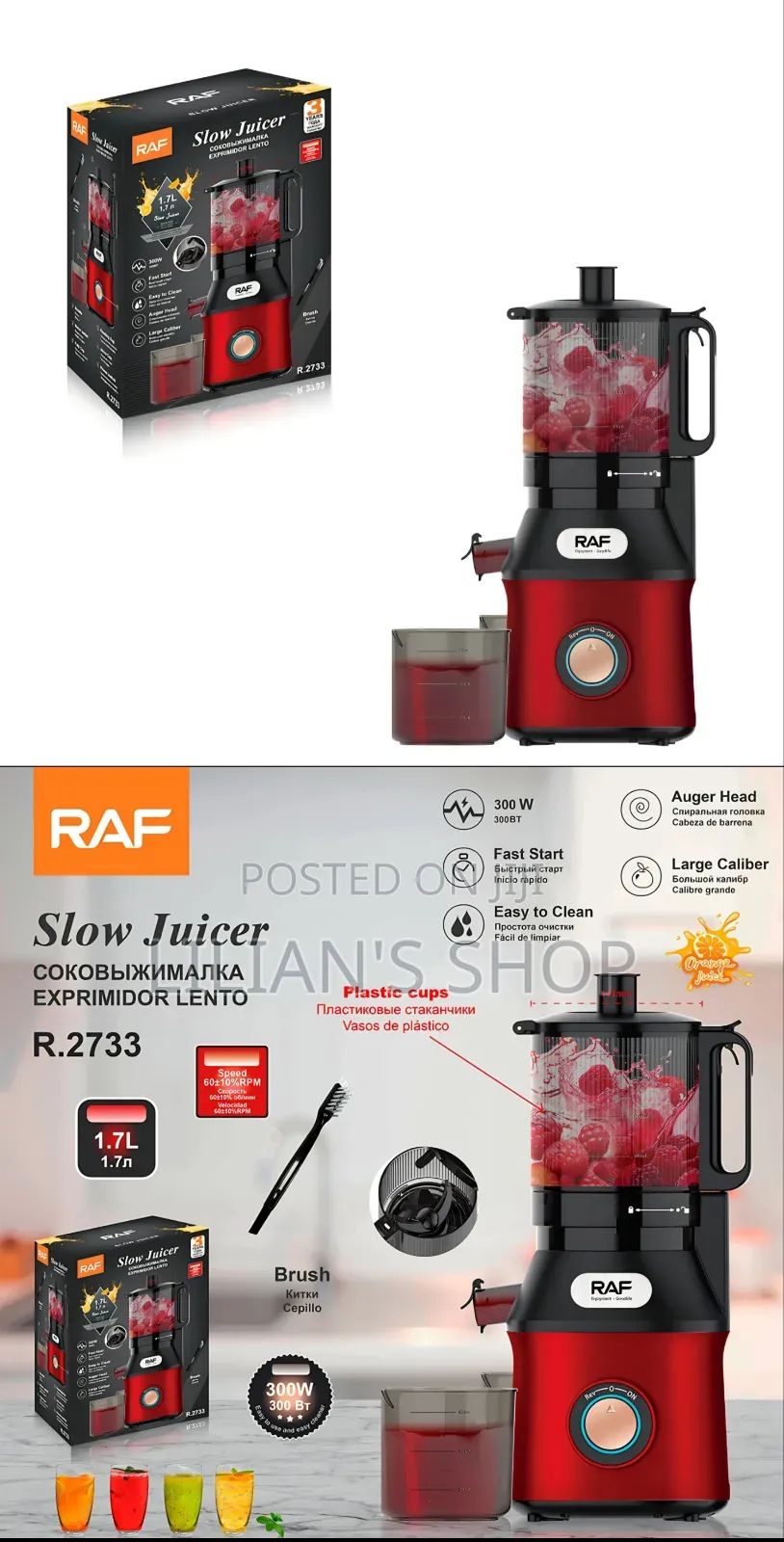RAF Slow Juicer R.2733