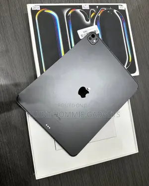 Apple iPad Pro 13 (2024) 512 GB Gray