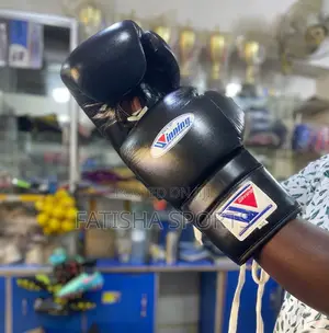 Winning Boxing Gloves